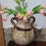 Antica Resina Scavi *